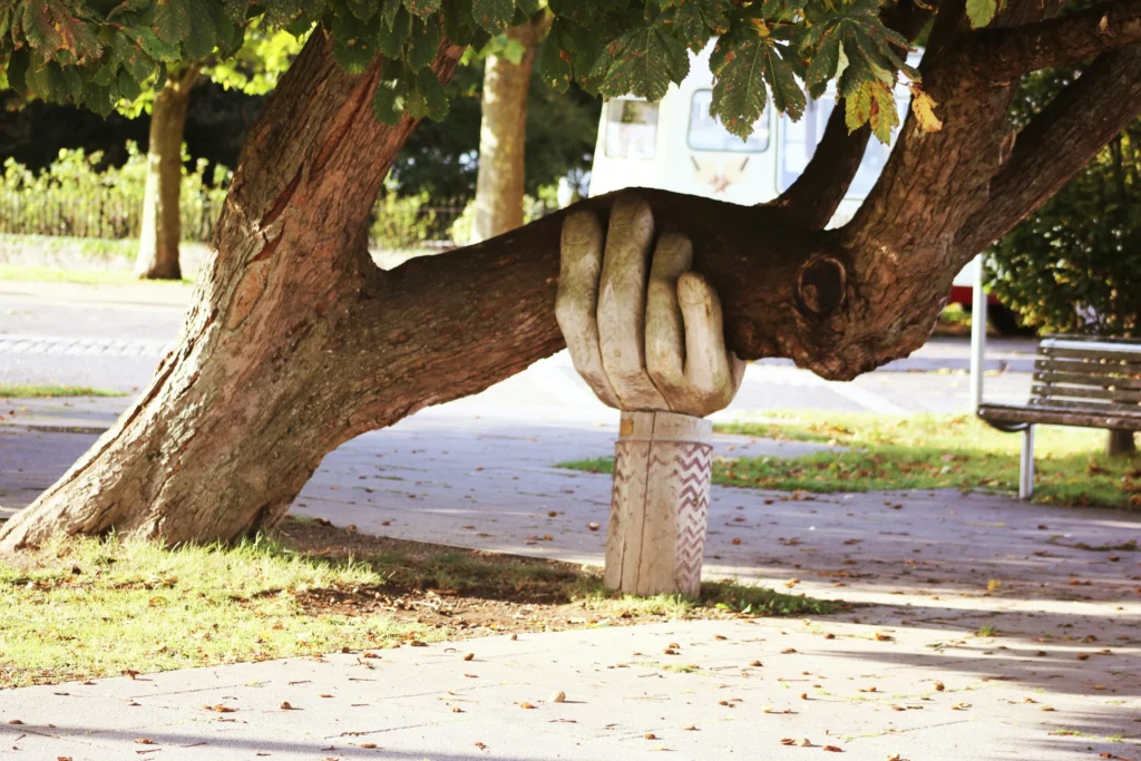 hand supporting the branch of tree